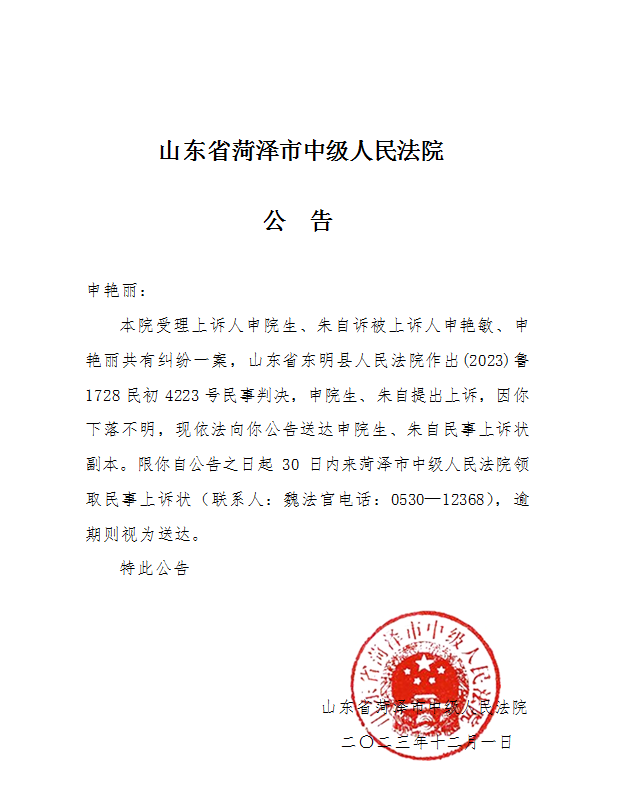申艳丽上诉状公告