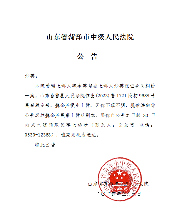 沙英上诉状公告